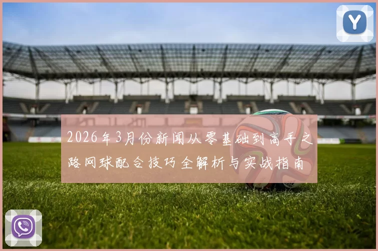 2026年3月份新闻从零基础到高手之路网球配合技巧全解析与实战指南